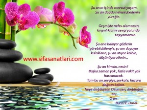 349078__zen-stones-andamboo_p