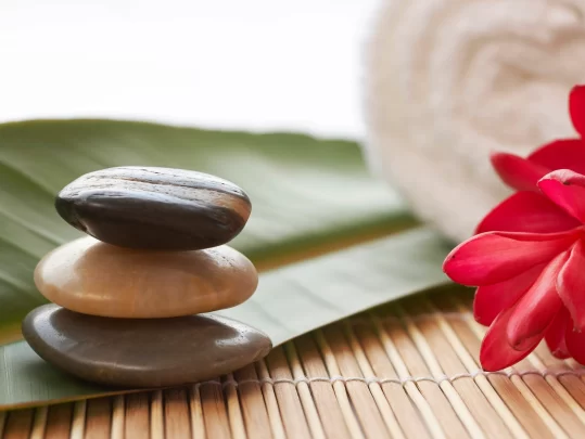 6m85bnv3evl7h3gvs2mbmj7co2531a4a2232691